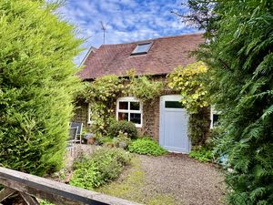 Driveway & Back Door- click for photo gallery